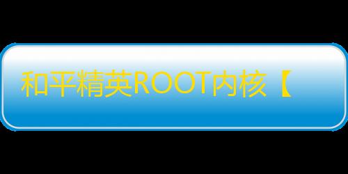 和平精英ROOT内核【康十七内核】外挂